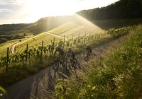 Radfahren am Zweifelberg, Kraichgau-Stromberg, Baden-Württemberg in Deutschland | © Stefan Leitner